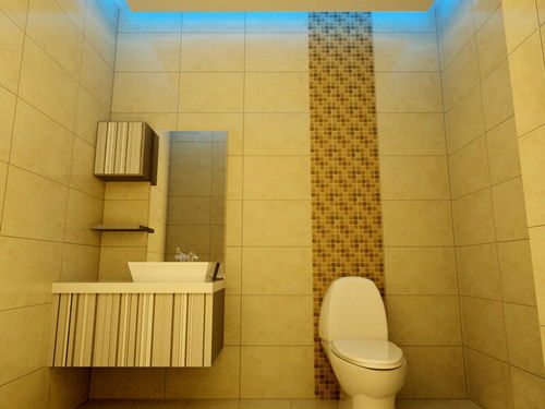 衛(wèi)生間裝修效果圖推薦與風(fēng)水小知識(shí) | 金斗門(mén)業(yè)